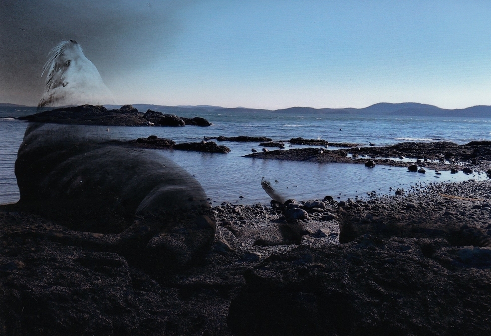 08.50. Joanna Rogers. Lost Souls. The Return to Paradise.