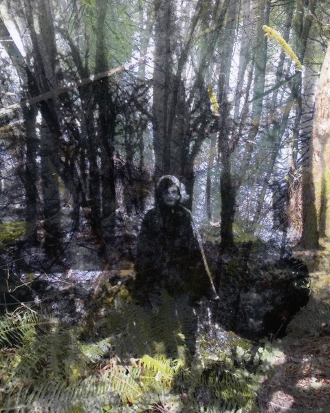 The Sentinel. After Image. Children of the Forest.